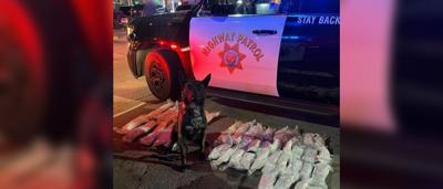 Photo: K-9 unit seizes 50 pounds of methamphetamine in Bell Gardens