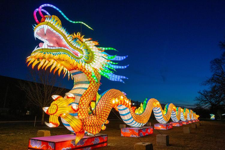 Brookfield Zoo has an exciting lineup of events for 2026 including Glow Wild. (Photo courtesy of Brookfield Zoo.)