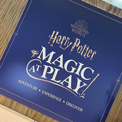 "Harry Potter: Magic at Play" experience at Water Tower Place beginning Nov. 11. (There is a lot of interactive fun!)