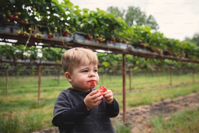 Grab a basket—it’s picking season! Farms to find berries, vegetables, and flowers