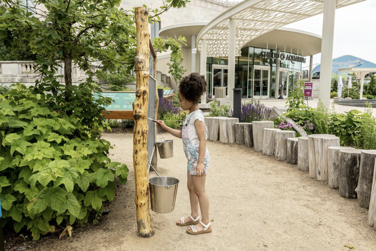 Shedd Aquarium opens Nature Exploration Garden image three