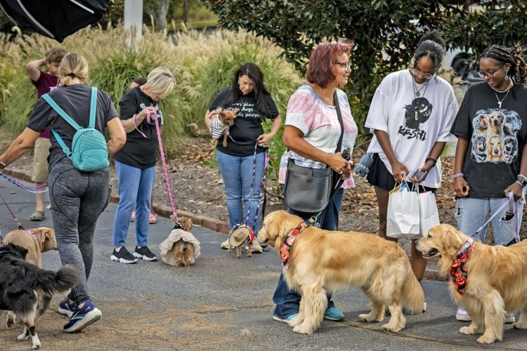 St. Joseph’s to host Animal Blessing and Pet Festival