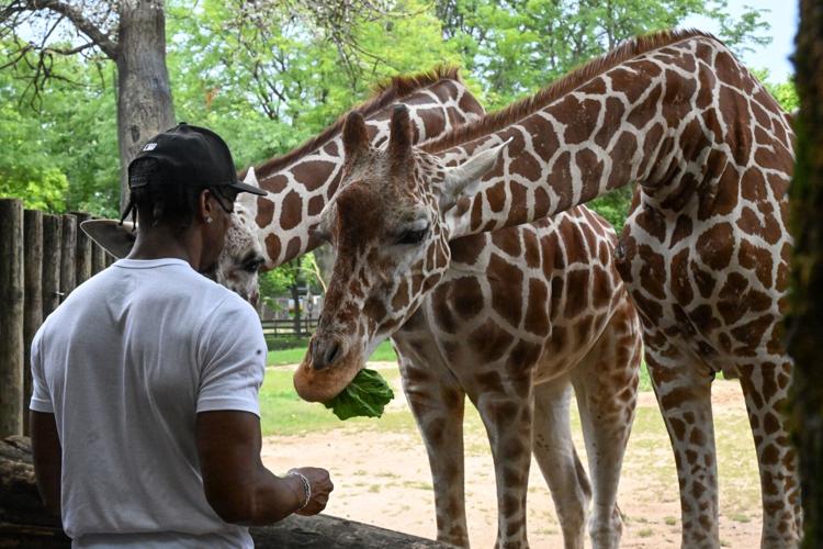 Chicago Bears rookie Malik Muhammad impresses on and off the field at Brookfield Zoo