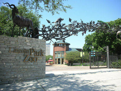 Lincoln Park Zoo hosts “Saturday Nights at the Zoo”