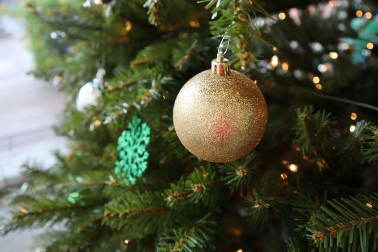 Where to find the perfect Christmas Tree in Chicago this season 3