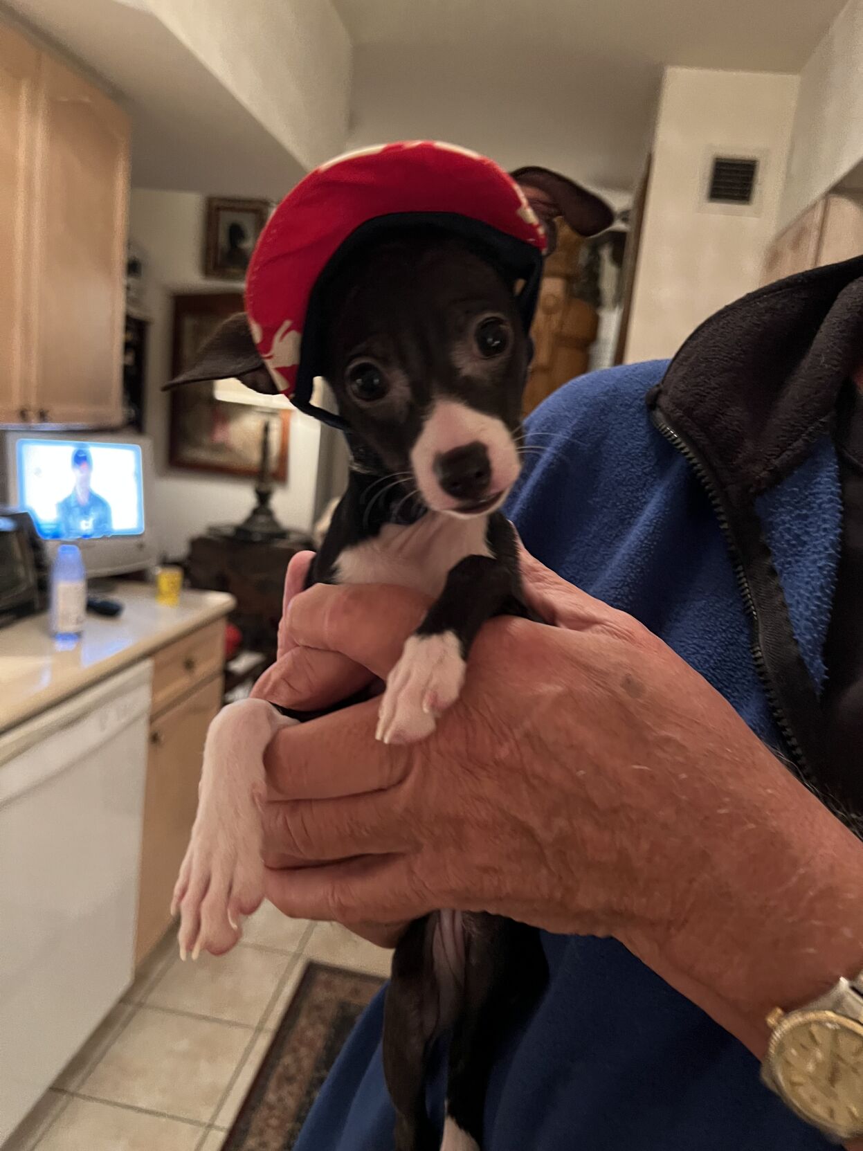 Her first hat. I should've warned her that her mom is a serial costumer.