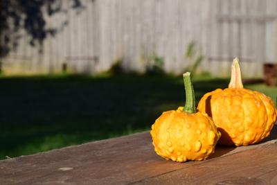 Pumpkins as decorations