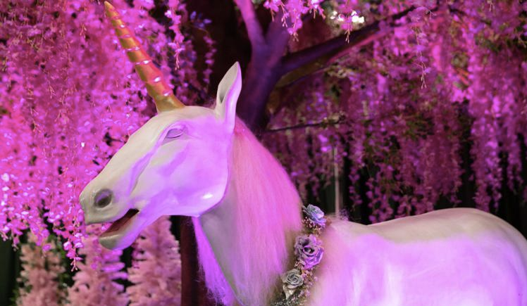 Unicorn world 5