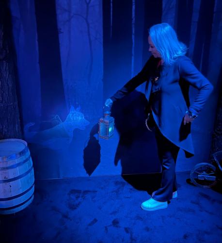 Hunting for patronuses by lantern light at the "Harry Potter: Magic at Play" experience at Water Tower Place beginning Nov. 11.