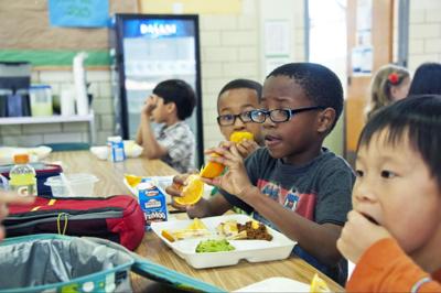 USDA cuts over $1 billion in local food funding, impacting schools & food banks