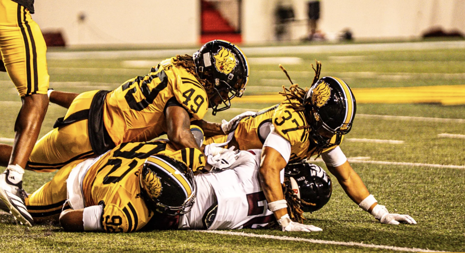 Arkansas-Pine Bluff football
