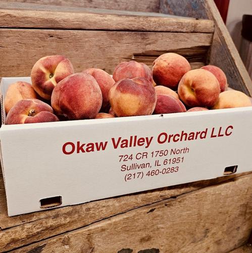 Celebrate summer at Okaw Valley Orchard's Peach Party on July 25 with fresh peaches, homemade treats, live music, family fun and a scenic road trip from Chicago.