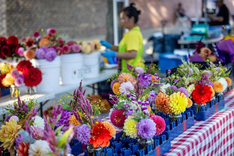 find the best farmers markets in Chicago