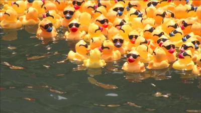 On August 4, the Rubber Ducky Derby returns to benefit Special Olympics.