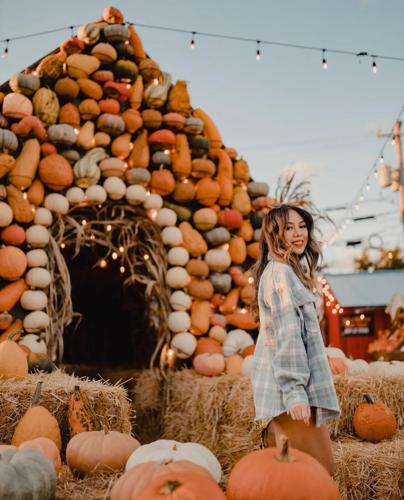 Jack's Pumpkin Pop-Up will have over 10,000 pumpkins this year! (Jack's Pumpkin Pop-Up photo)