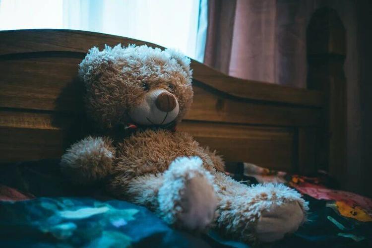 Bear fans typical look after first two games _ Photo via Pexels