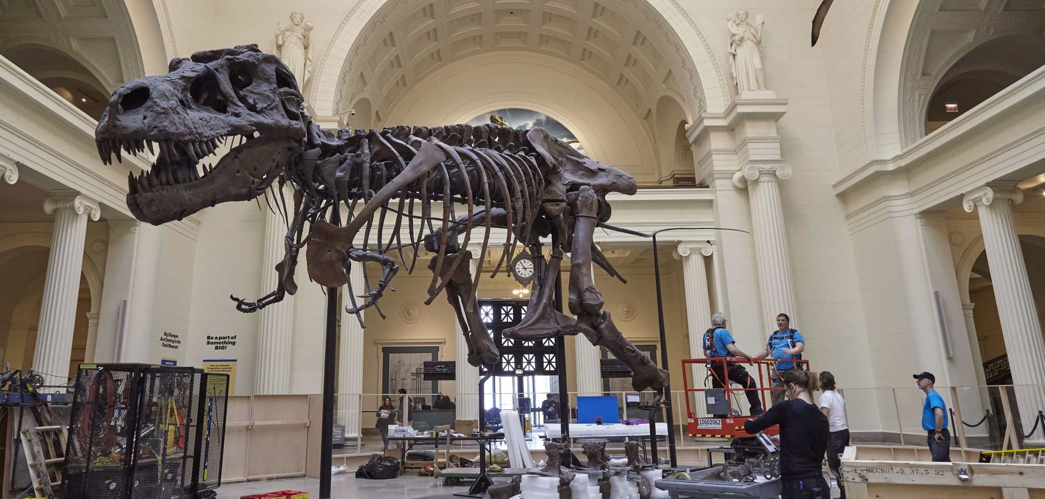 SUE gets a new home…