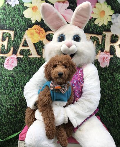 Easter1