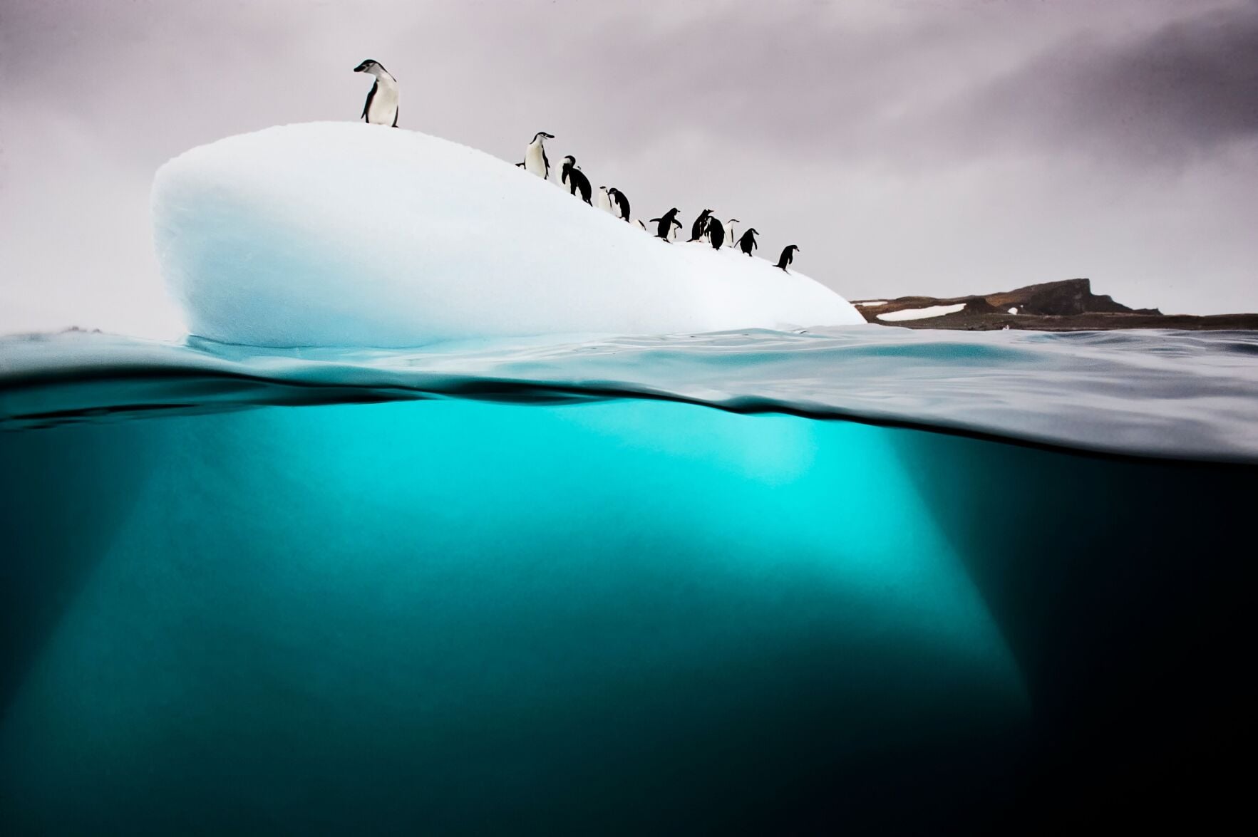 National Geographic live
