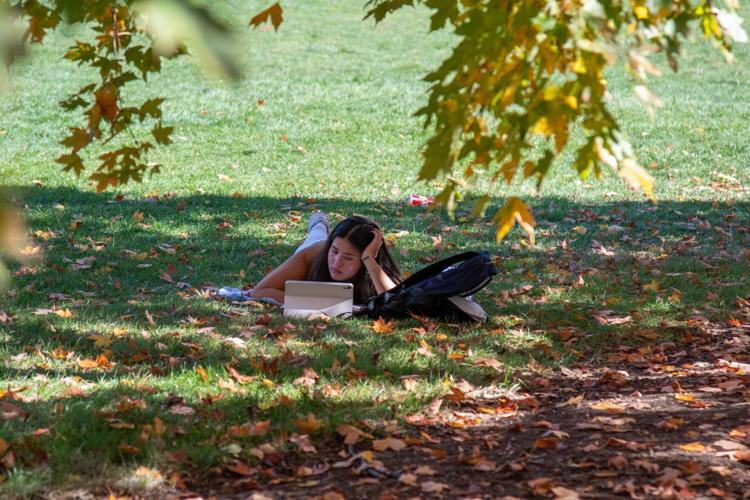 Student studies on HUB Lawn, fall foliage