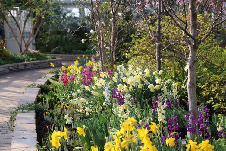 Spring flower displays blossom at Lincoln and Garfield Park conservatories
