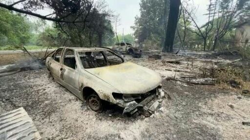 The wildfire near Bordeaux has consumed all in its wake
