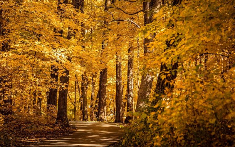Discover Wisconsin’s La Crosse & Beloit, fall getaways for Chicagoans