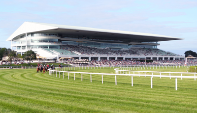 Bears file motion to begin demolishing Arlington Park racetrack