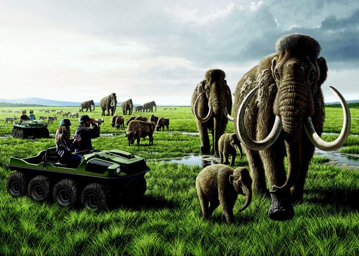 Beth Shapiro and Mammoths Third Photo