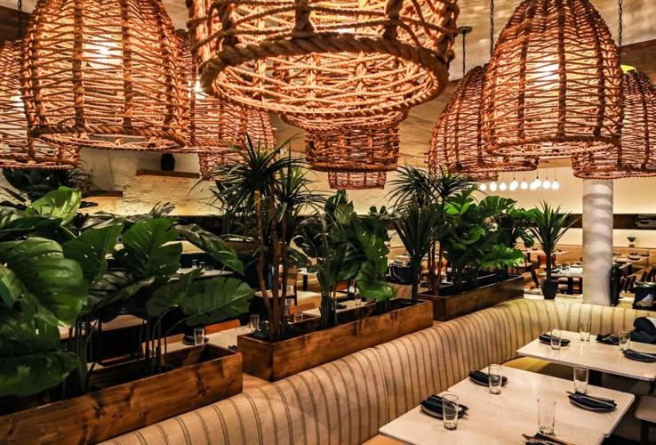 The ultimate guide to Valentine’s Day in Chicago