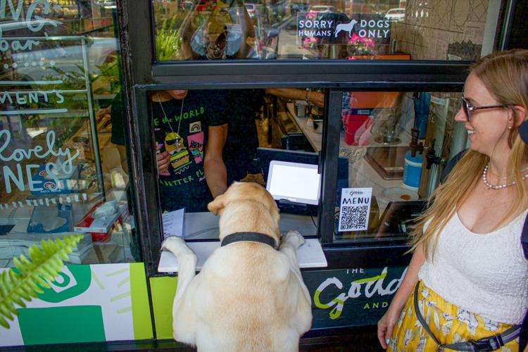 The Goddess and Grocer partners with PAWS Chicago 3