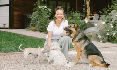 How to Improve Your Dog’s Gut Health
