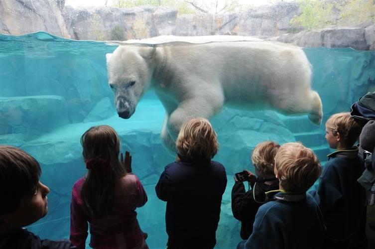 Celebrate Halloween Spirit Chicago 2025 with the Best Fests & Zoo Fun
