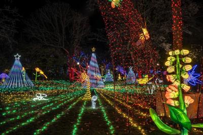 ZooLights returns to the Lincoln Park Zoo and Chicago Star has your exclusive passes 1