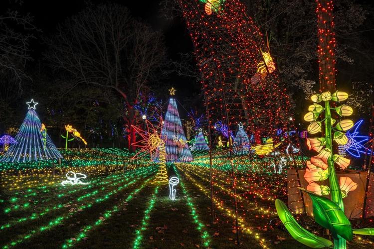 ZooLights returns to the Lincoln Park Zoo and Chicago Star has your exclusive passes 1