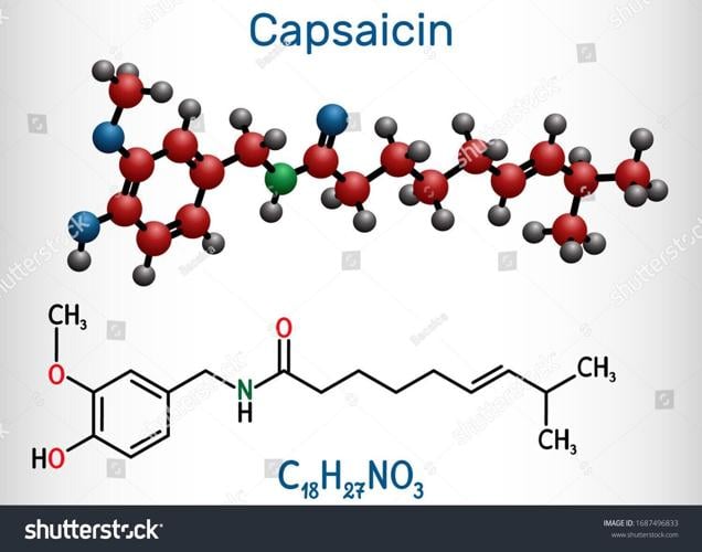 CAPSAICIN MOLECULE