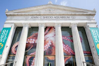 Escape the winter blues with free museum days in 2024