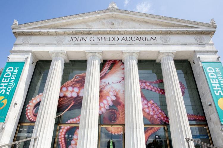 Escape the winter blues with free museum days in 2024