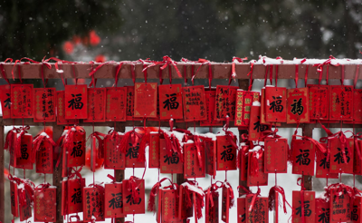 Five best Chinese New Year events in Chicago to celebrate the Year of the Snake