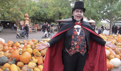 Halloween Happenings