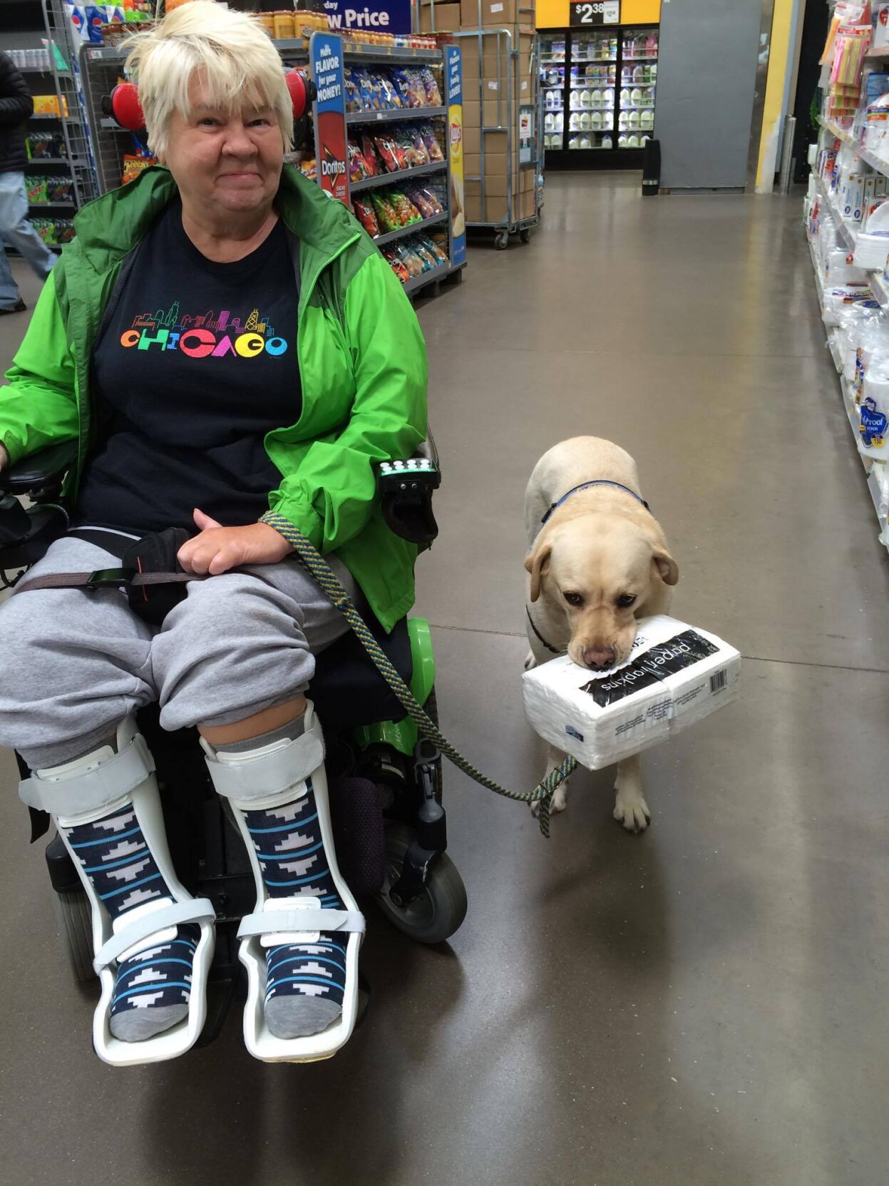 Service dog
