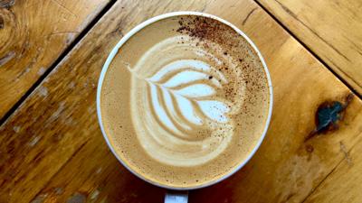 Beatrix Pumpkin White Mocha