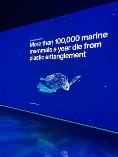 Grim statistics surrounding the ocean's plastic pollution.
