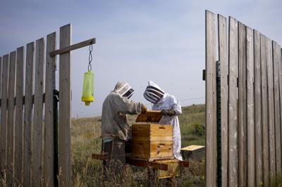 Butte Beekeepers