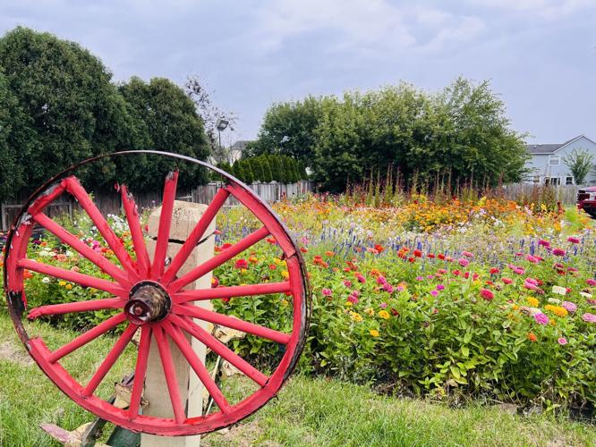 The Farm in Westmont, Illinois (Candace Jordan photo)