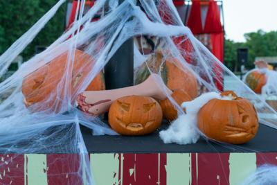 The ultimate guide to fall fun, festivals & events in Chicago