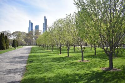 Grant Park still has two advisory councils, though only one is recognized. Photo by Jesse Wright