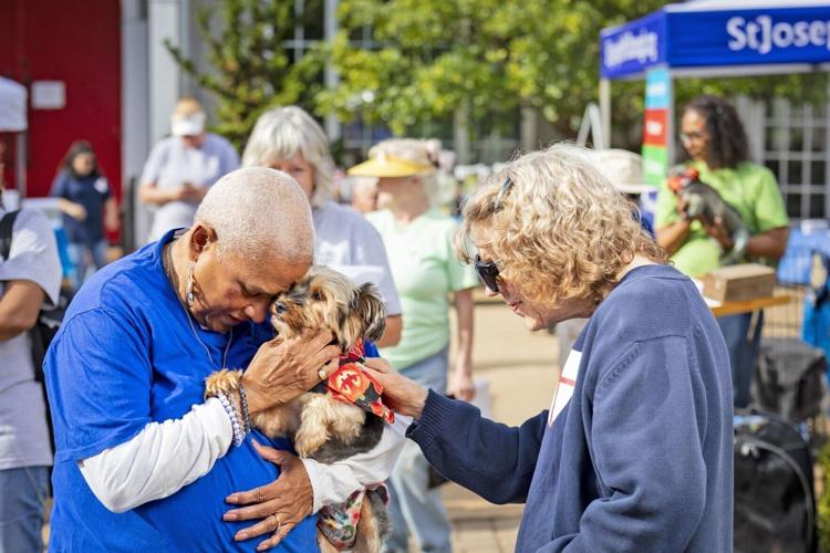 St. Joseph’s to host Animal Blessing and Pet Festival