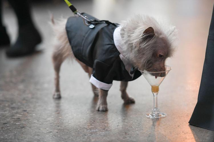 He's getting into the spirit of the party.