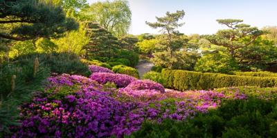 Chicago Botanic Garden has received the largest gift in its history, $21 million from The Negaunee Foundation.